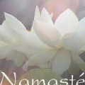 Du er hjertelig velkommen til at kontakte mig. Namaste